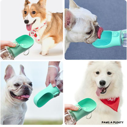 Portable Dog Water Bottle