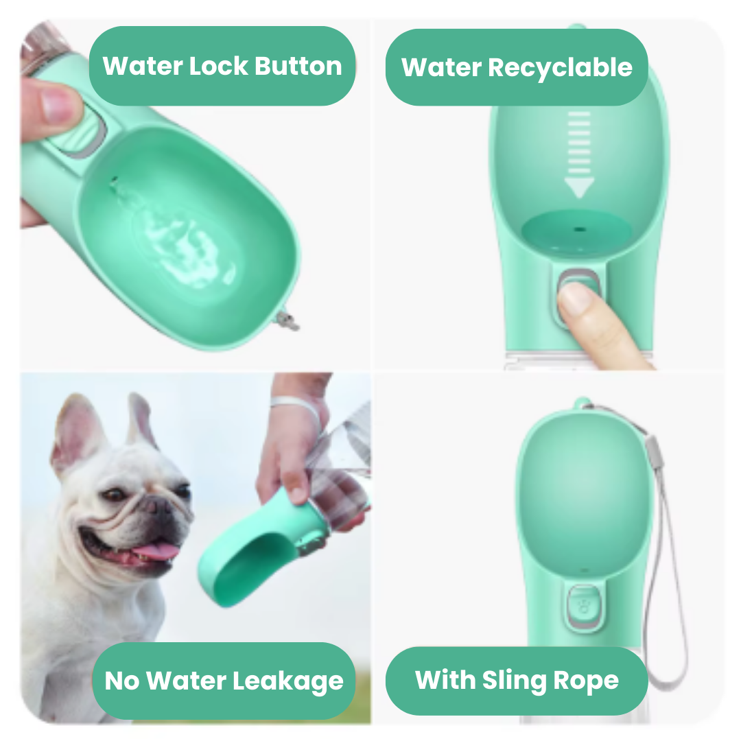 Portable Dog Water Bottle