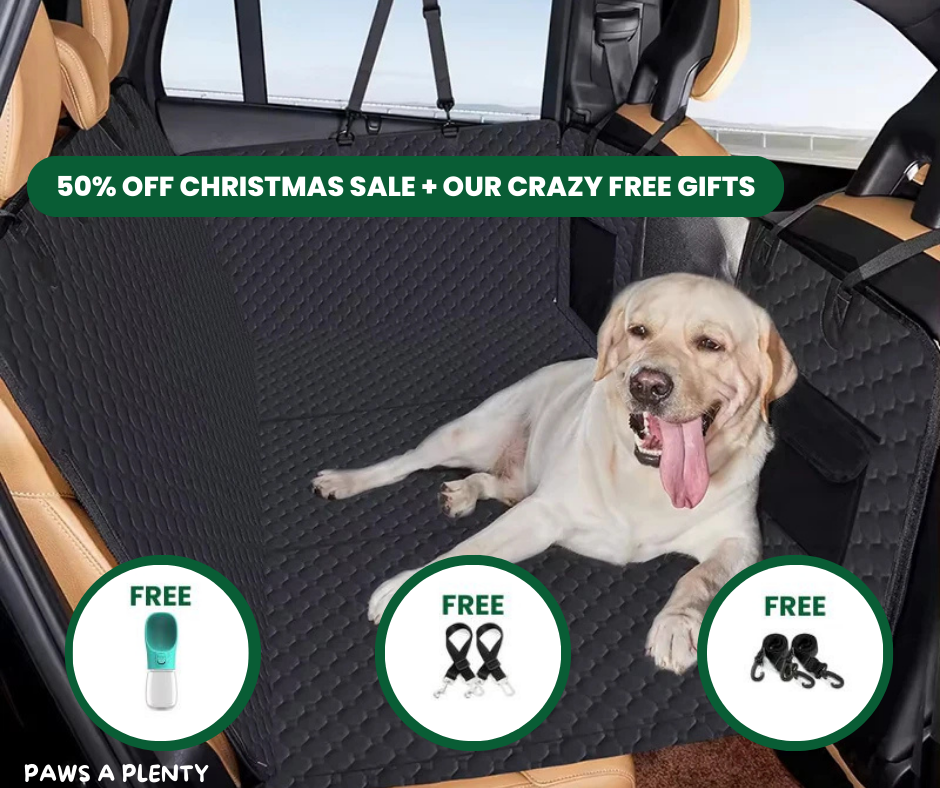 Paws a Plenty - Dog Car Seat